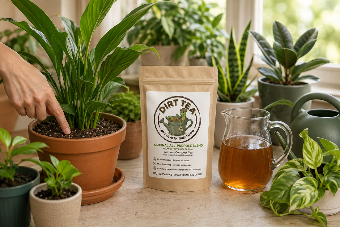 Dirt Tea compost tea bags for indoor houseplants.