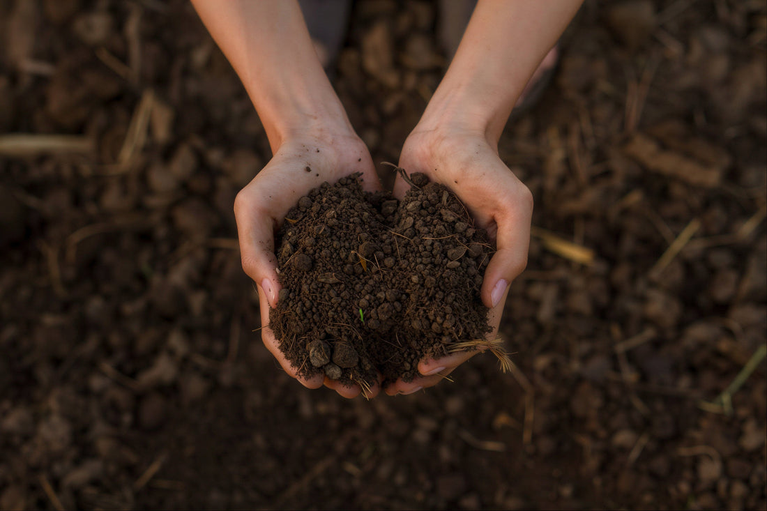 Does Organic Fertilizer Actually Work? An Honest Answer