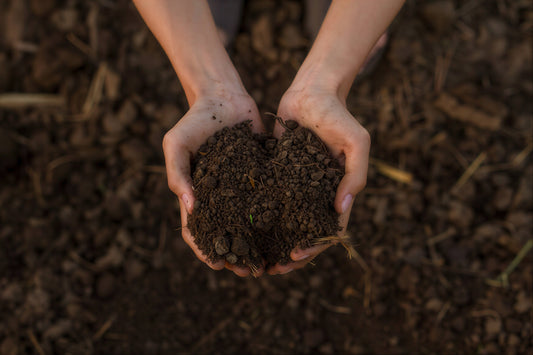 Does Organic Fertilizer Actually Work? An Honest Answer