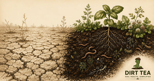Why Garden Soil Gets Worse Every Year