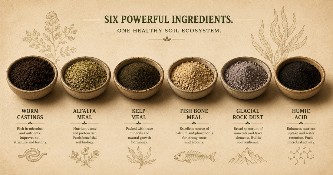 Dirt Tea Six Ingredients Explained