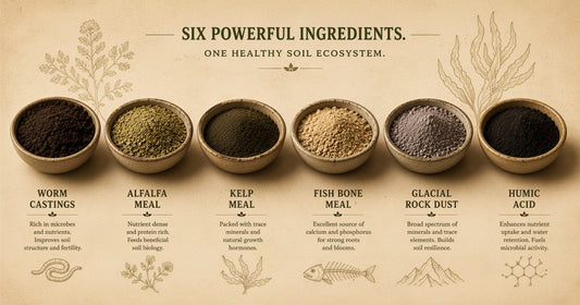 Dirt Tea Six Ingredients Explained