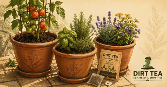 Container Garden Soil Health