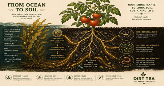 Kelp Meal for Garden Soil