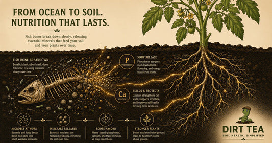 Fish Bone Meal for Plants