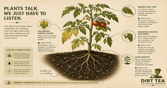 How to Read Your Plant