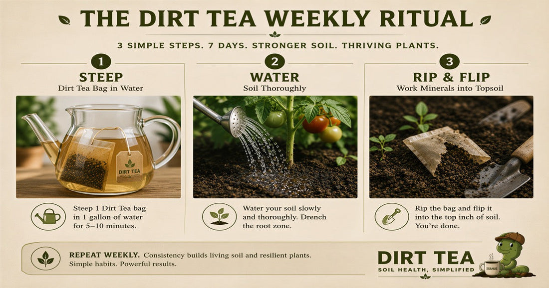 How to Start a Soil Health Routine